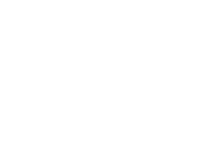 allin logo