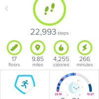 Fitbit activity tracker