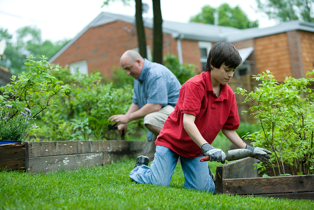 Man and boy gardening