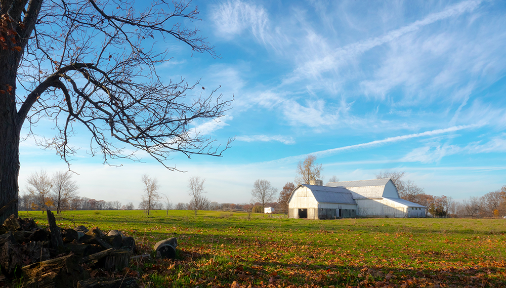 rural field with barn