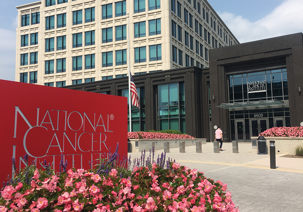 Exterior of the National Cancer Institute building including sign and pink flowers